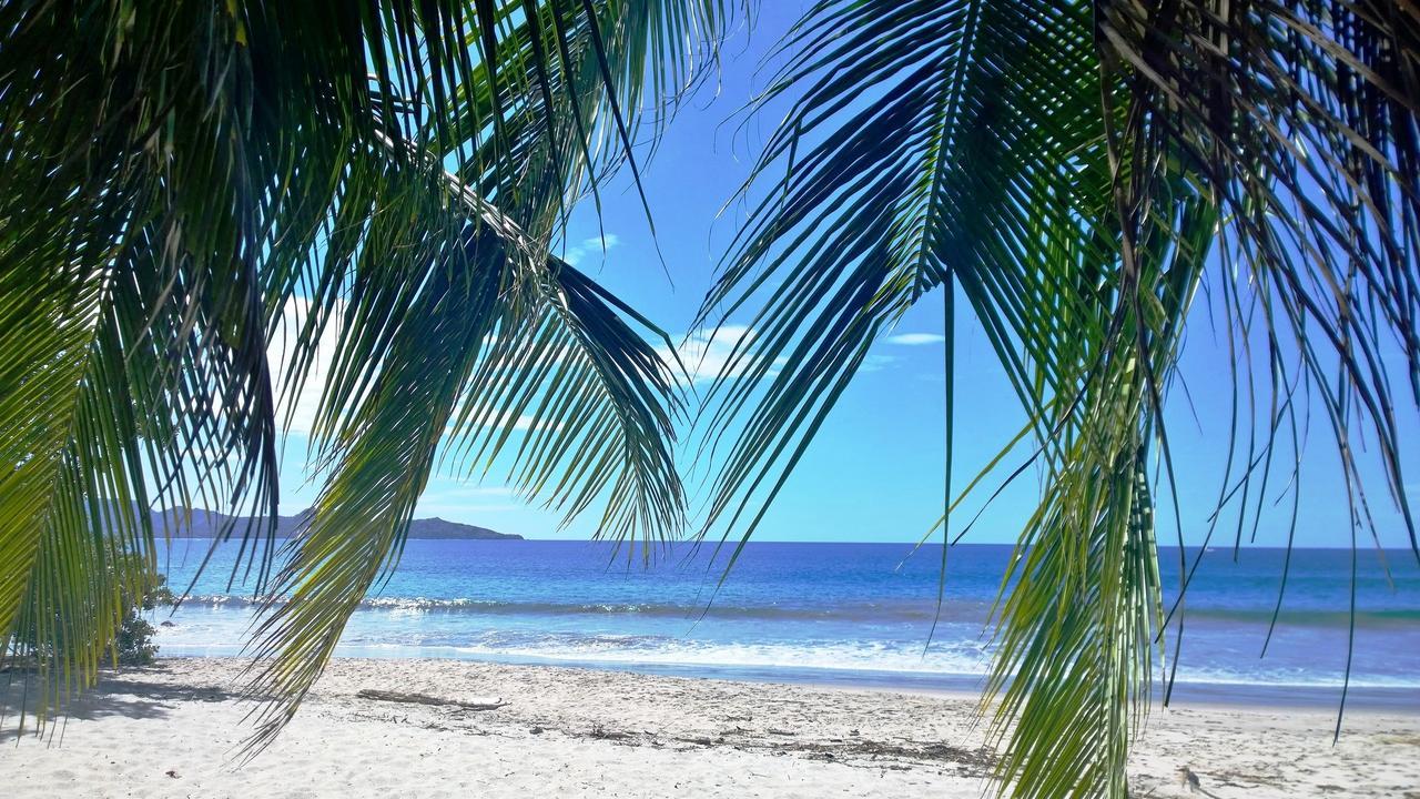 Hotel Guanacaste Lodge Playa Flamingo Bagian luar foto