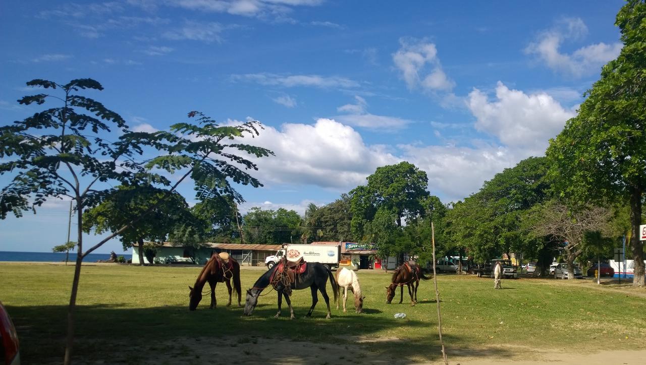 Hotel Guanacaste Lodge Playa Flamingo Bagian luar foto